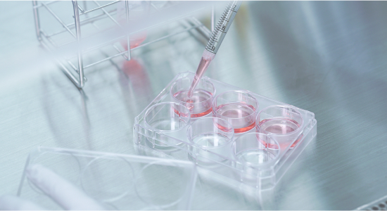 厳格な管理のもと培養された最高品質の細胞をご提供